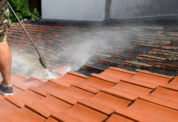 Best Affordable Power Washing  in Coal Fork, WV